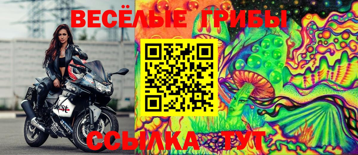 Галлюциногенные грибы ЛСД Удомля