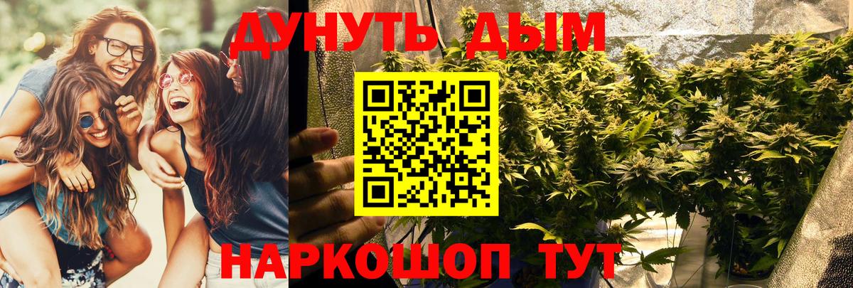Шишки марихуана Ganja  Вход с VPN  Марихуана планчик  Удомля 